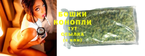 дживик Осинники