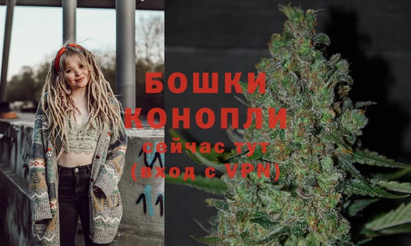 соль курить ск Няндома