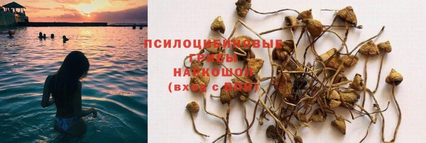 МДПВ Новодвинск